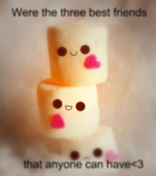 were_the_three_bestfriends_that_anyone_can_have3-63980